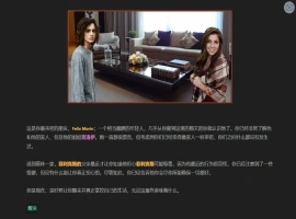 [HTML/浏览器汉化] 我的朋友 Friends of Mine V1.4 浏览器转中文 电脑 [2.5G]-IS充值【42】