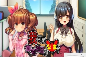 【2D/ADV/中文】我可是御宅社团的公主! V1.10 双端中文版【800M】-IS充值【42】