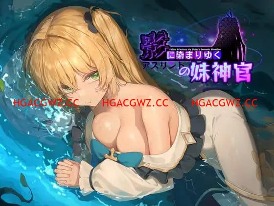 【精品/RPG/中文/CV】影色漸染~阿斯林頓的妹神官~v0.602【PC/2.1G/更新】-IS充值【42】
